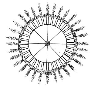 Silvesternacht: Noch mehr Polizei ist keine Lösung